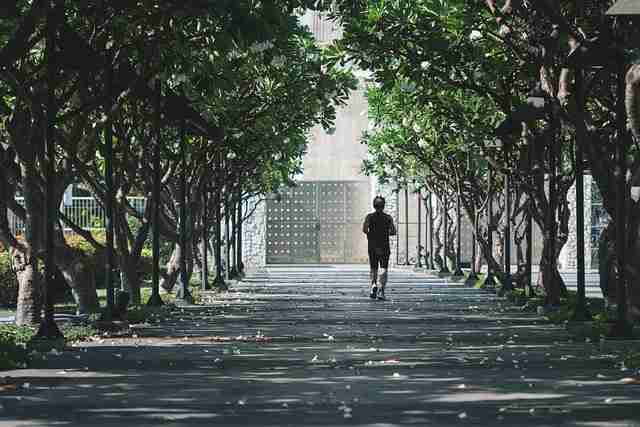 全网刷屏的黑料网是什么来头？（456 ）